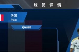 琼阿梅尼球员集锦：以防守凶悍 覆盖范围广著称的防守型中场