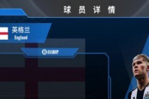 霍尔球员集锦：左后卫上的尖刀